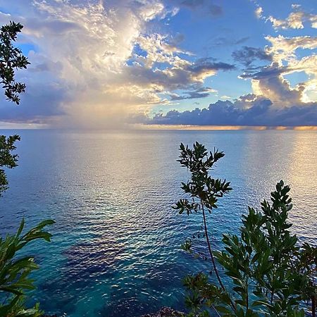 Oceanfront Condo W/ Free Parking + High Speed Wifi Negril Bagian luar foto