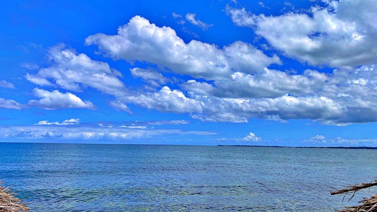 Oceanfront Condo W/ Free Parking + High Speed Wifi Negril Bagian luar foto